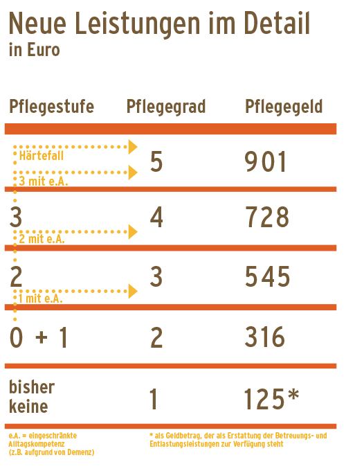Pflegegrade